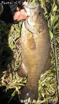 ���⡼��ޥ����Х�