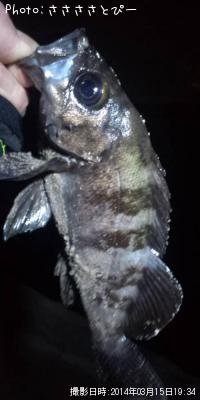 ¥¯¥ê¥¢¥á¥Ð¥ë