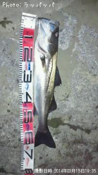 �����Х�