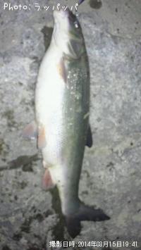 �����Х�