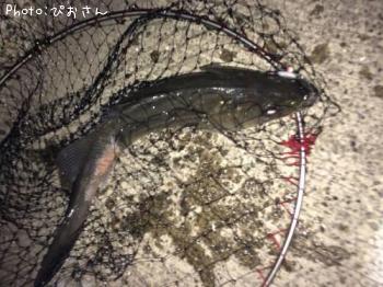 �����Х�