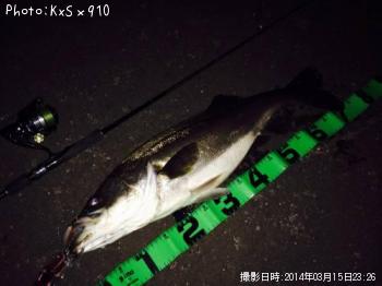 �����Х�