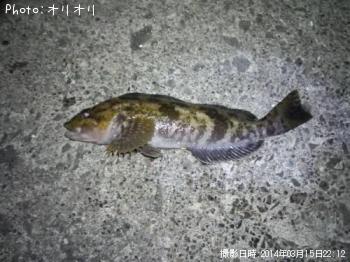 �����ʥ�