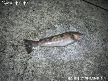 �����ʥ�