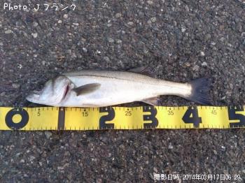 �����Х�