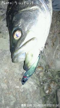 �����Х�