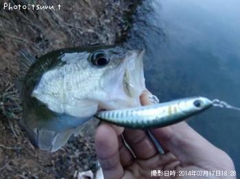 ¥Ö¥é¥Ã¥¯¥Ð¥¹