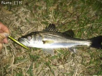 �����Ф�