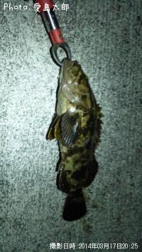 �٥å�������