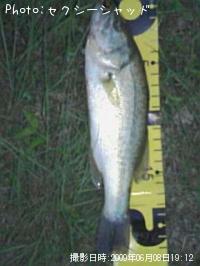 ¥Ö¥é¥Ã¥¯¥Ð¥¹