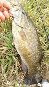 ���⡼��ޥ����Х�