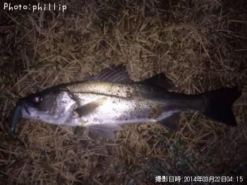 �����Х�