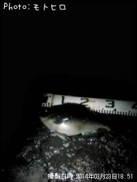 �����᥸��