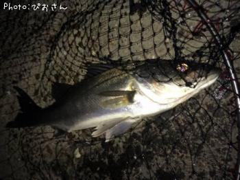 �����Х�