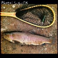 ���å��ȥ饦��