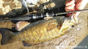 ¥¹¥â¡¼¥ë¥Þ¥¦¥¹¥Ð¥¹