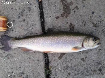 �������ƥ������㡼