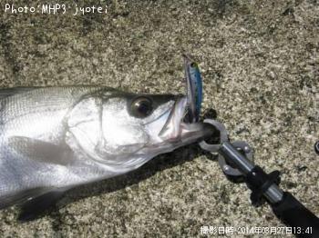 �ҥ饹����