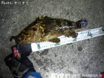 ¥Ù¥Ã¥³¥¦¥½¥¤