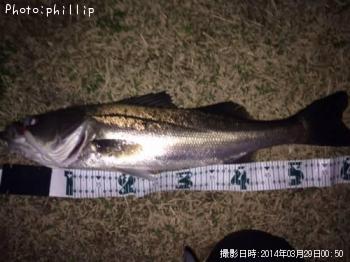 �����Х�