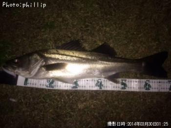 �����Х�