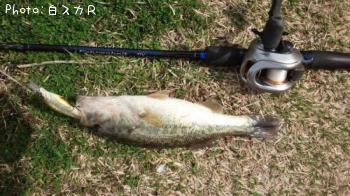 �顼���ޥ����Х�