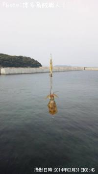 �����ꥤ��