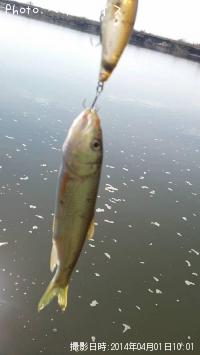 ¥¹¥â¡¼¥ë¥Þ¥¦¥¹¥Ð¥¹