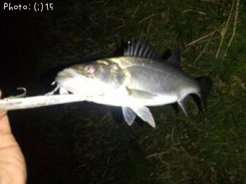 �����Ф�