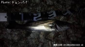 �����Х�