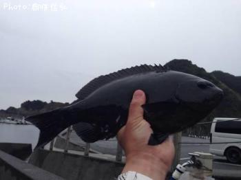 ¸ýÂÀ¥á¥¸¥Ê