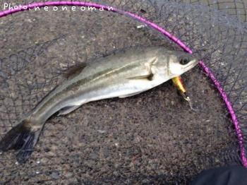 �����Х�