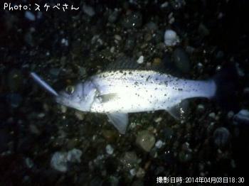 �ҥ饻����