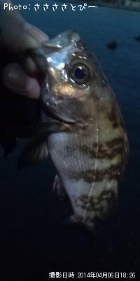 ���ꥢ��Х�