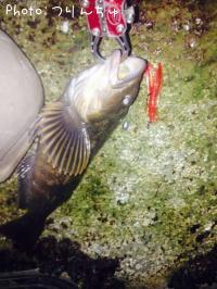 �����ʥ�