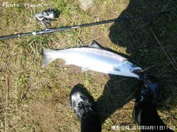 ¥µ¥¯¥é¥Þ¥¹