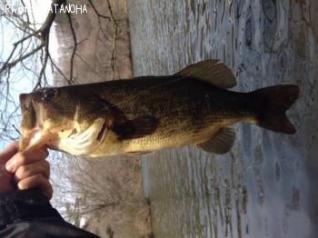 ¥Ö¥é¥Ã¥¯¥Ð¥¹