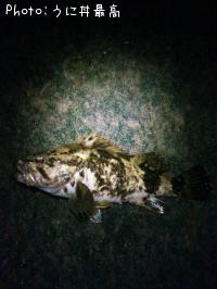 �٥å�������