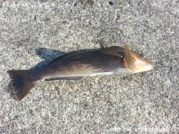 �����ʥ�