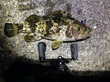 ¥¿¥±¥Î¥³¥á¥Ð¥ë