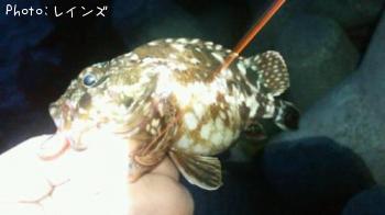 �������������Υ�