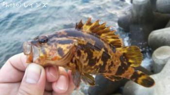 �������������Υ�