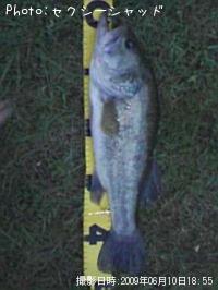 �֥�å��Х�