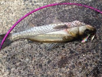 �����Х�