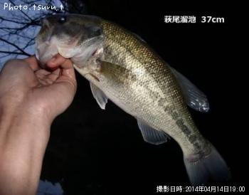 �֥�å��Х�