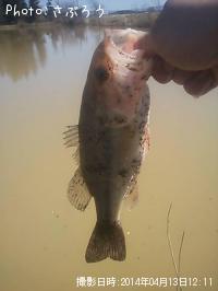 �֥�å��Х�