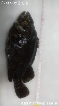 ¡ù¥à¥é¥½¥¤¡ù