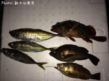 ��������Х롢�ۥ�