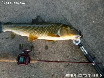 �˥������ʥޥ�