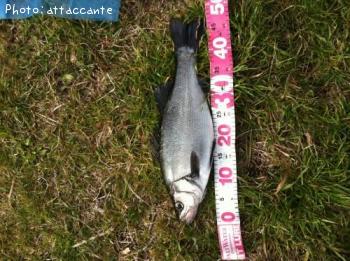 �ҥ饹����